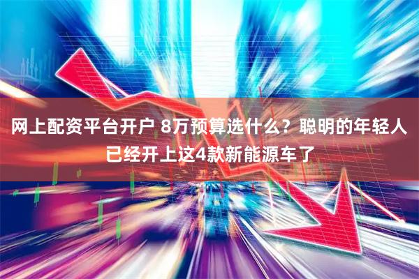 网上配资平台开户 8万预算选什么？聪明的年轻人已经开上这4款新能源车了